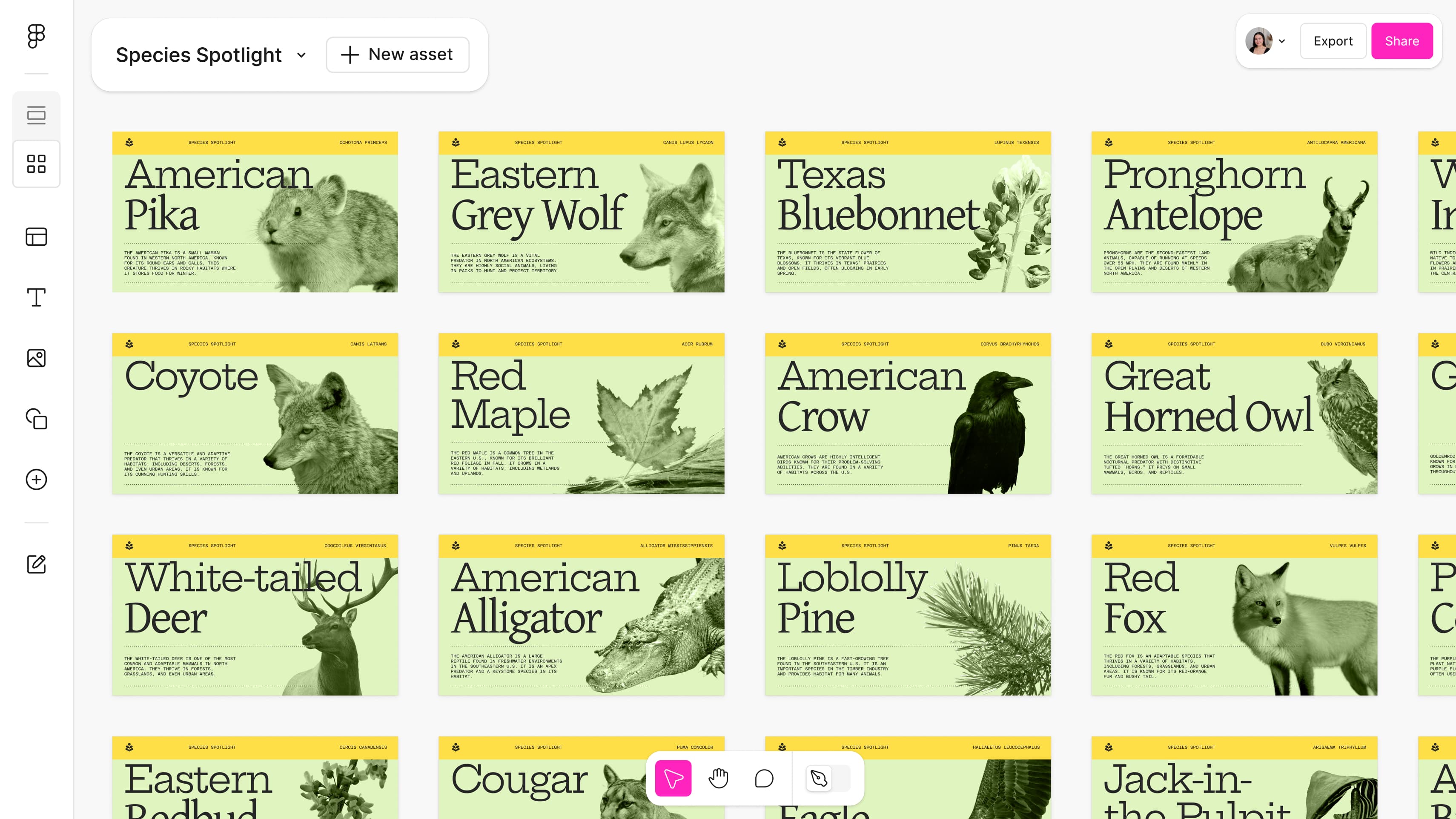 Image showing 12 side-by-side assets designed the same way, but with differing titles and images in each asset. 