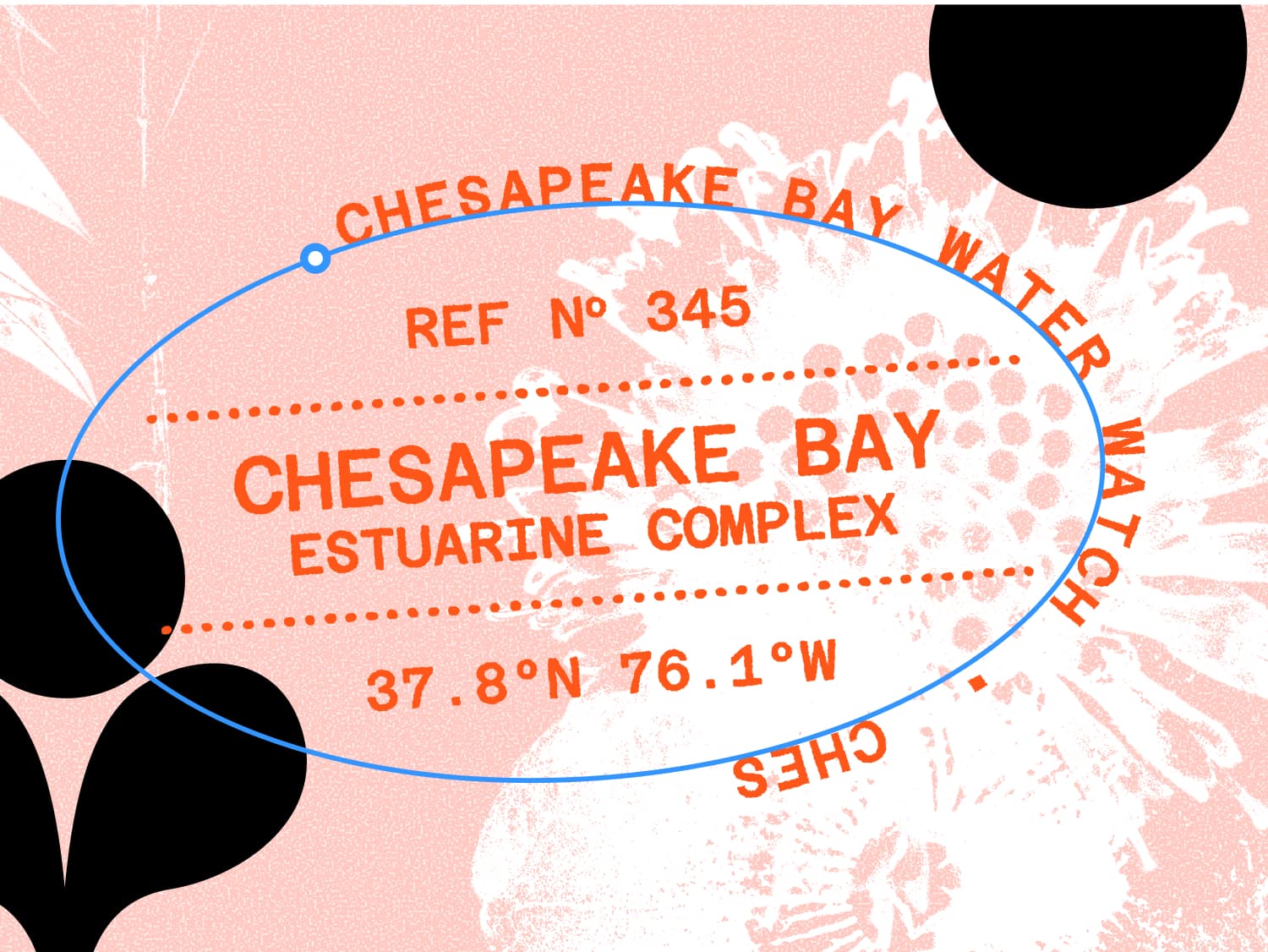 Pink background with flower print on top. Image has text on a path that says "Chesapeake Bay Water" in a circular path. 