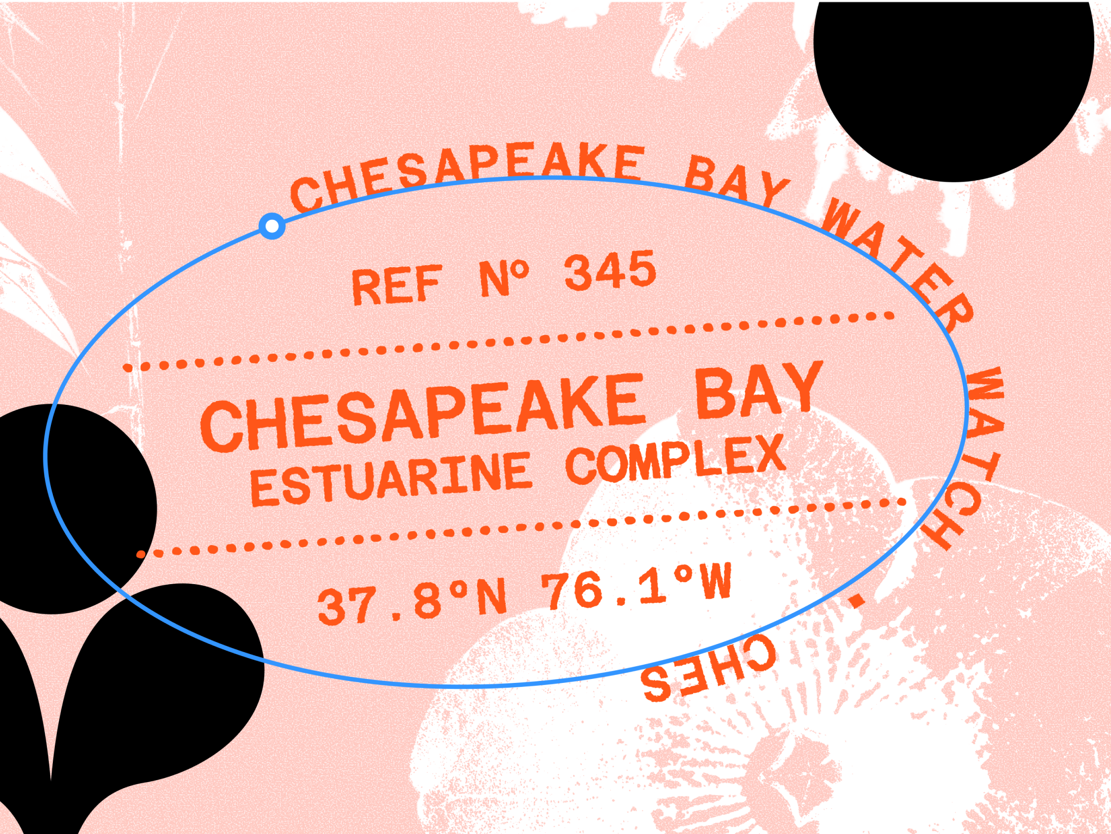 Pink background with flower print on top. Image has text on a path that says "Chesapeake Bay Water" in a circular path. 